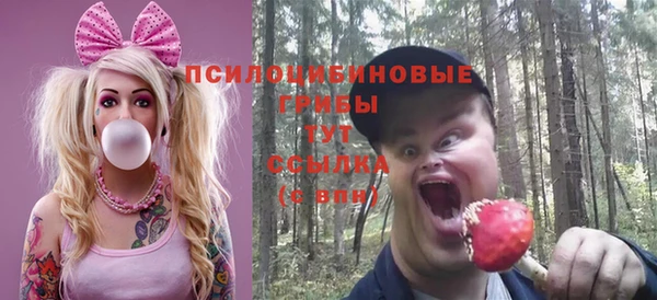 гашик Лабытнанги