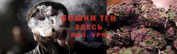 тгк Кукмор
