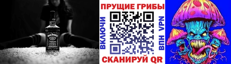 Купить закладки  Рудня  Псилоцибиновые грибы Psilocybe 
