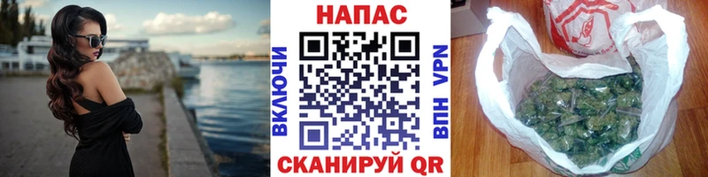 Бошки марихуана MAZAR  Купить закладки  Рудня 